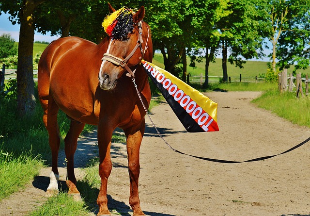 熊猫体育-全网最有氛围的赛事直播平台