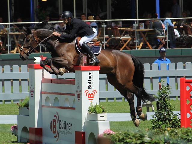 熊猫体育-全网最有氛围的赛事直播平台