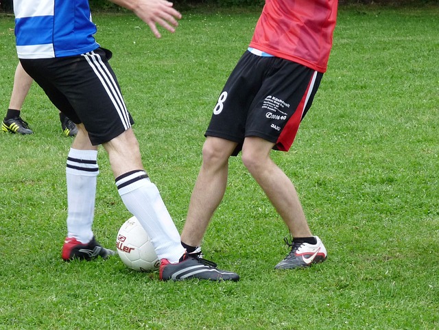 们成为季后 们成为季后