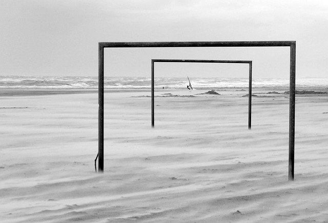 已成流行趋 已成流行趋