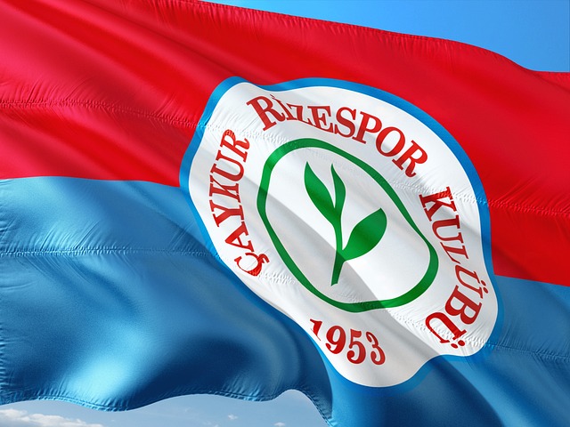 罗斯的故事 罗斯的故事