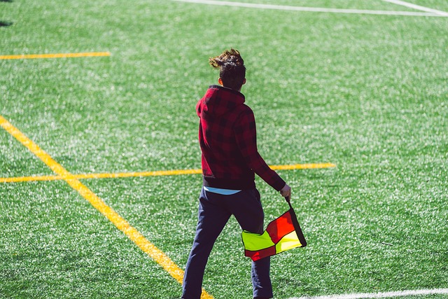 政府扶持资 政府扶持资